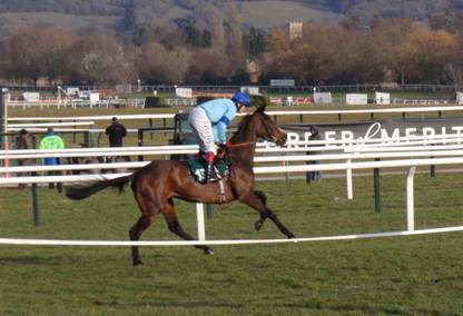 Cheltenham Day 1 p r.jpg