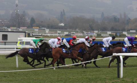 Cheltenham Day 2 h r.jpg