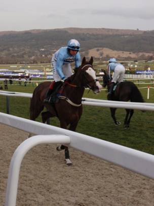 Cheltenham Day 2 m r.jpg
