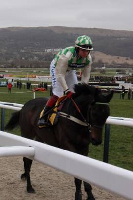 Cheltenham Day 4 a r.jpg