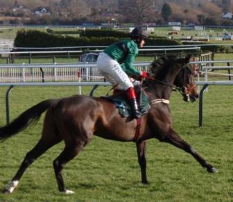 Cheltenham 24 Jan 09 red 3.jpg