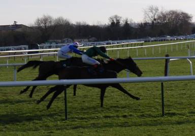 Cheltenham 24 Jan 09 red 4.jpg