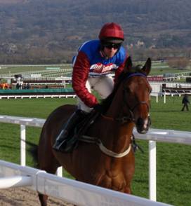 Cheltenham race 1 a r.jpg