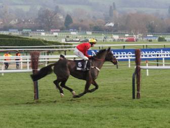 Cheltenham race 2 b r.jpg