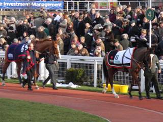 Cheltenham race 3 a r.jpg