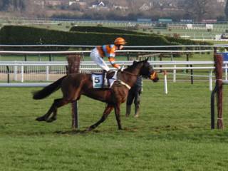 Cheltenham race 3 b r.jpg