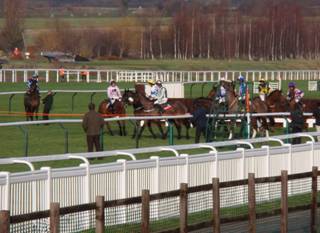 Cheltenham race 4 b r.jpg