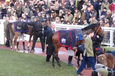 Cheltenham race 5 b r.jpg