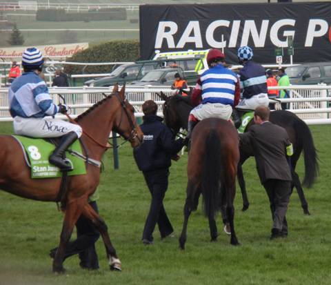 Cheltenham 2011 Day 1 s r.jpg