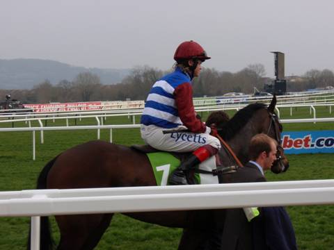 Cheltenham 2011 Day 1 t r.jpg