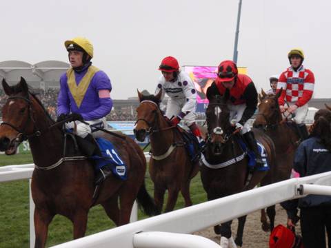 Cheltenham 2011 Day 2 c r.jpg