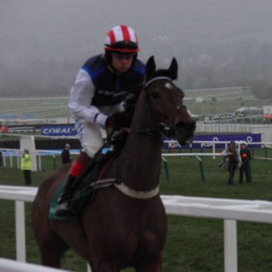 Cheltenham 2011 Day 2 v r.jpg