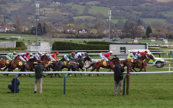 Cheltenham Day 4 2011 b r.jpg