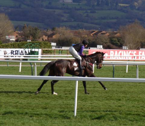 Cheltenham Day 4 2011 i r.jpg