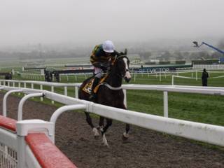 Race 1 f Apple's Shakira.jpg