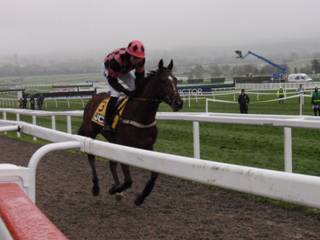 Race 1 g Eragon De Chanay.jpg
