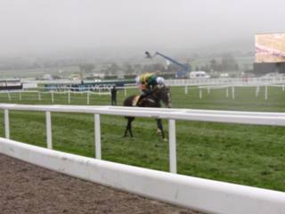 Race 1 j the winning horse.jpg