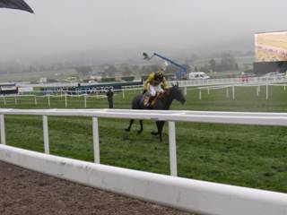 Race 1 k the runner up.jpg