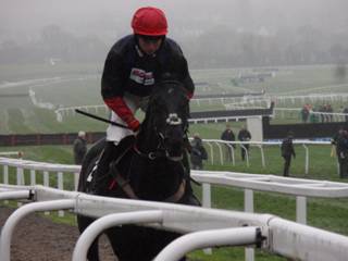 Race 2 c Black Corton.jpg