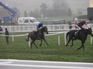 Race 2 f.jpg