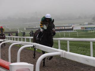 Race 3 a Minella Rocco.jpg