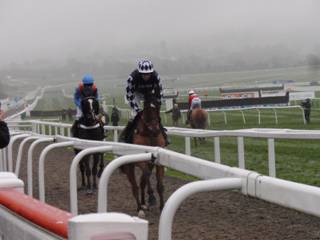 Race 3 e Shothun Paddy & Premier Bond.jpg