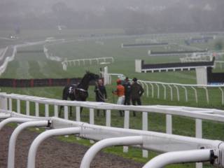 Race 4 a Days of Heaven.jpg