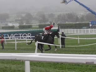 Race 4 b Foxtail Hill.jpg