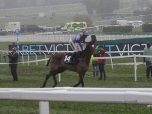 Race 4 e Plaisir D'Amour.jpg