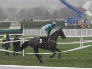 Race 4 j Double Treasure.jpg