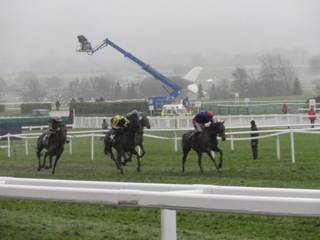 Race 4 l the finish.jpg