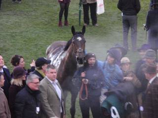 Race 7 a Posh Trish.jpg