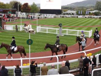 TRC Horses 2.jpg