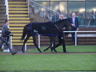race 7 a the kvilleken.jpg