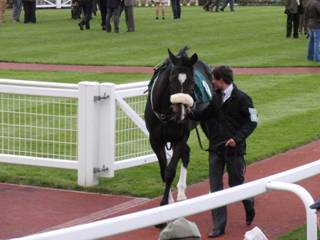race 4 a kians delight.jpg