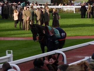 race 6 a.jpg