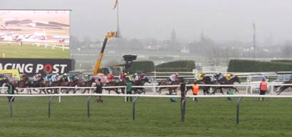 race 7 raya star 9.jpg