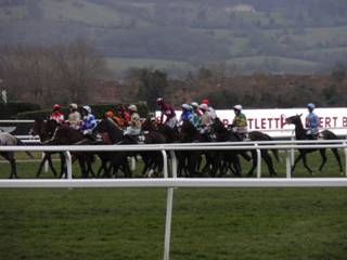 Race 3 i.jpg