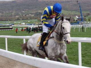 Race 1 c Master Blueyes.jpg