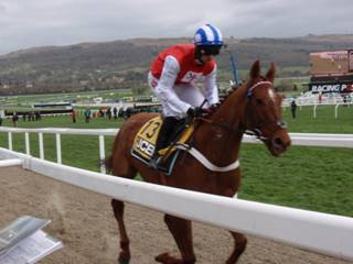 Race 1 f Soldier In Action.jpg
