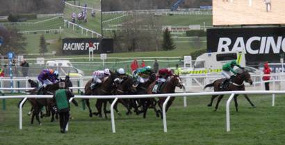 Race 2 l the finish.jpg