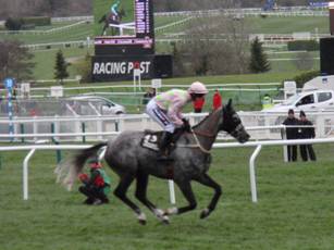 Race 3 e Turcagua.jpg