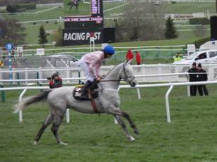 Race 3 g Baden.jpg