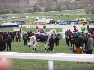 5 CGC Smad Place.jpg