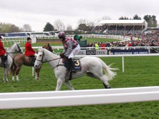 9 Smad Place.jpg