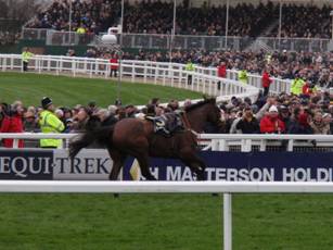 15 CGC Cue Card.jpg