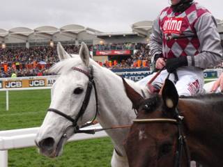 17 CGC the gorgeous Smad Place.jpg