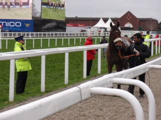 20 CGC Cue Card.jpg