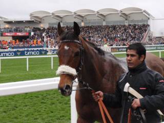 21 CGC Cue Card.jpg