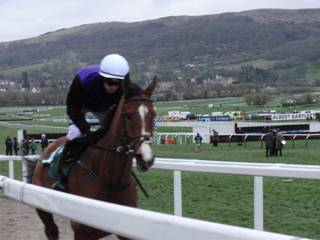 Race 7 a Mr Fiftyone.jpg